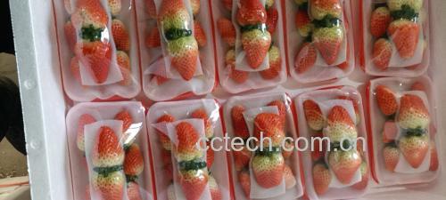 奶油草莓营养成分信息图