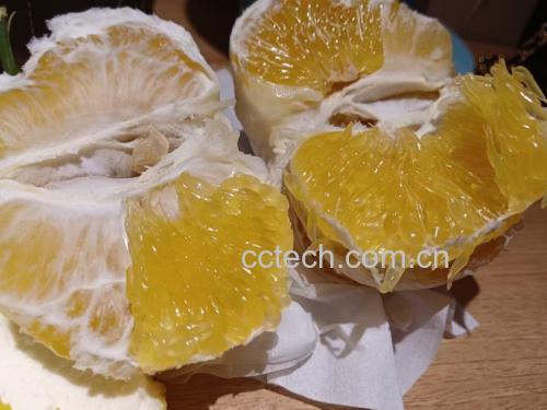 柚子果实特写