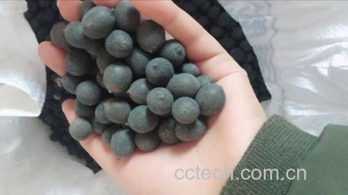 莲子的营养成分分析图