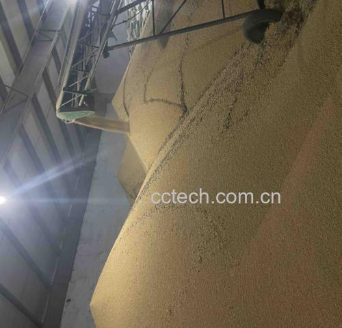 大豆储存环境温湿度监测示意图
