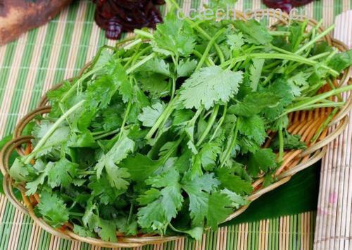 新鲜香菜与隔夜香菜对比图