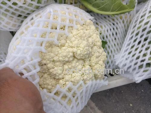粉红菜花在超市货架上的展示图