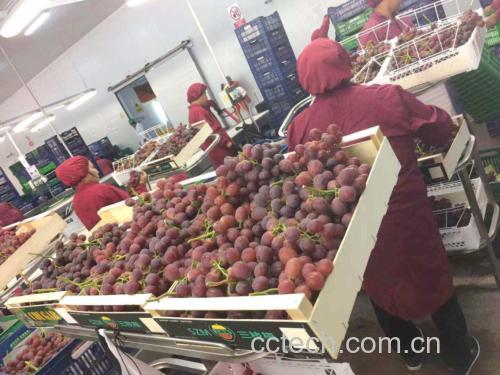 葡萄粉生产加工线实景图