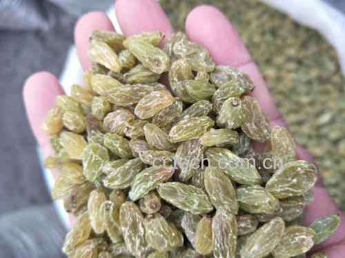 葡萄粉应用于烘焙场景