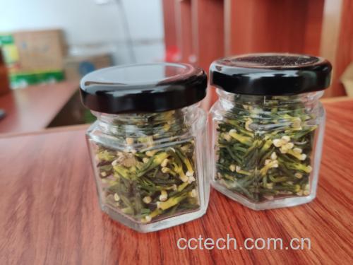 李子酒酿造过程