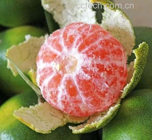 蜜橘选购对比图