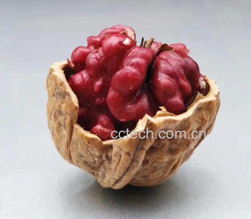 野生薄皮核桃自然生长环境