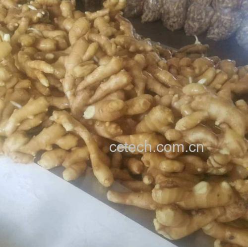 姜母切片与焯水后排骨对比图