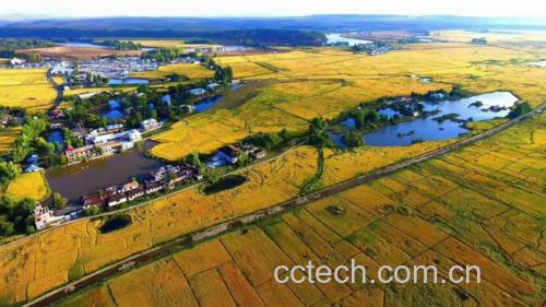长粒香绿色大米种植基地航拍图