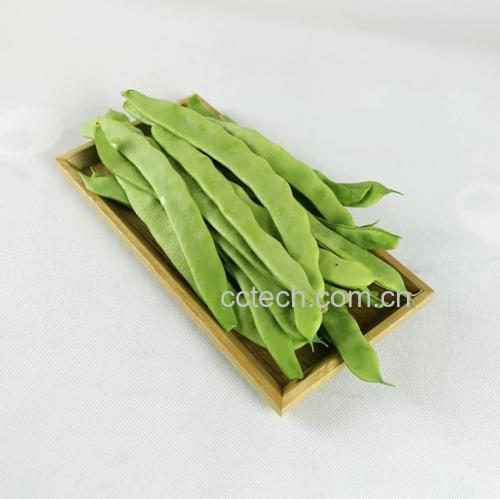 绿扁豆原料特写