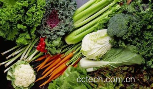 羽衣甘蓝与其他绿叶蔬菜对比图