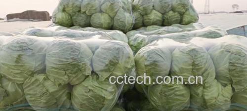 超市货架上的有机羽衣甘蓝包装产品