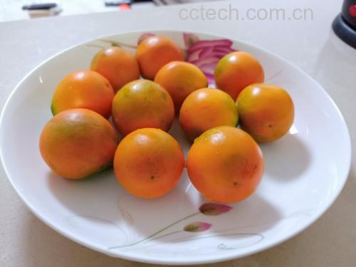 新鲜食用金桔特写