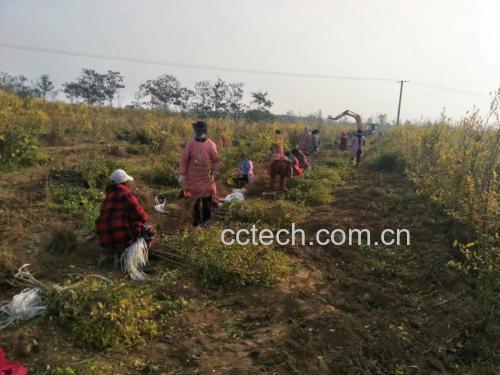 农民喷洒除草剂佩戴防护装备