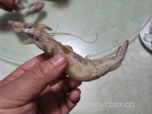 白对虾与基围虾外观对比