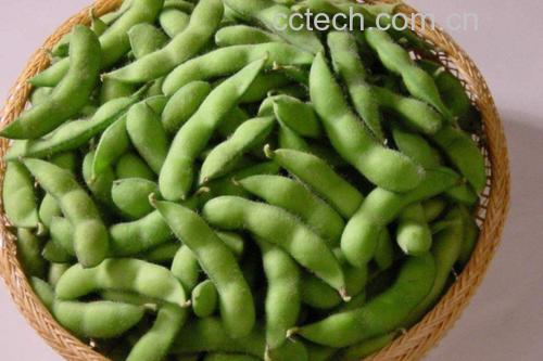 毛豆与毛豆米对比图