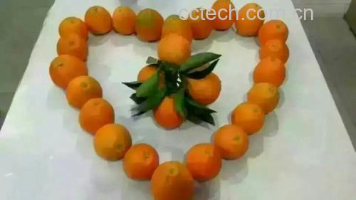 黄心蜜柚制作果茶与沙拉的摆盘图
