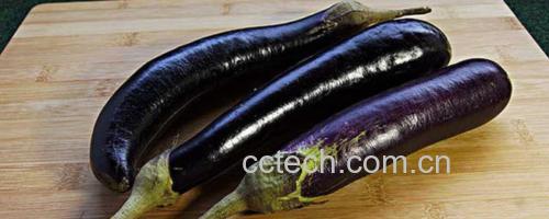 家庭厨房中正在蒸制的整颗茄子