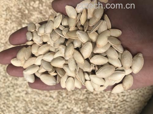 手工包制南瓜豆沙糯米糍的过程图
