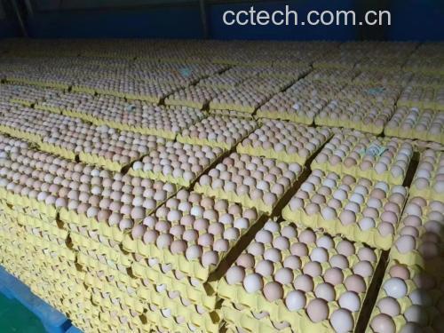 鸡蛋数量与重量关系图
