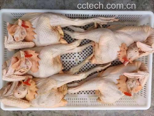 鸡肉焯水过程