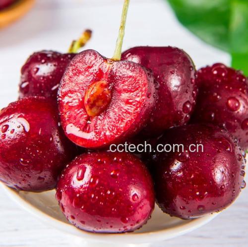 车厘子切开特写