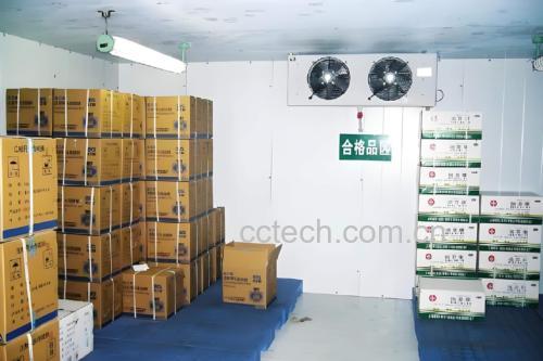 冷链运输中的冷藏集装箱装载车厘子纸箱场景