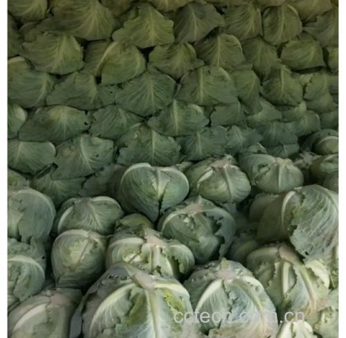 凉拌扁包菜成品图