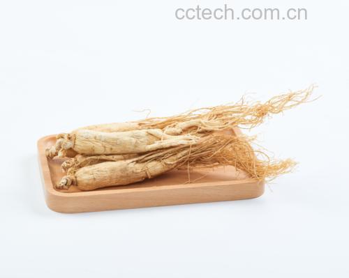 西洋参与生晒参对比图示