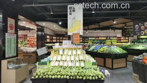 超市货架上的新鲜甜玉米陈列场景