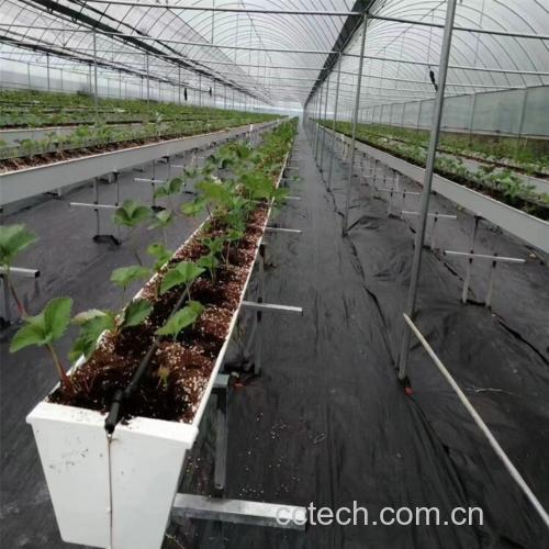 丹东草莓种植基地航拍图