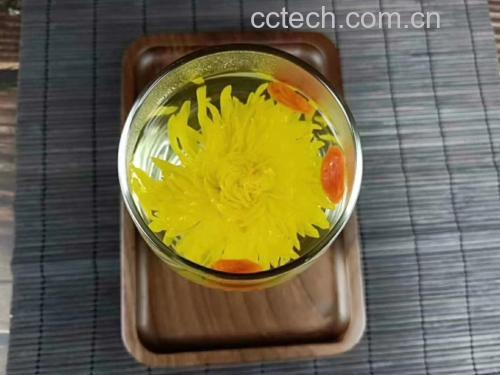 金丝皇菊与柠檬片泡水冲泡过程图