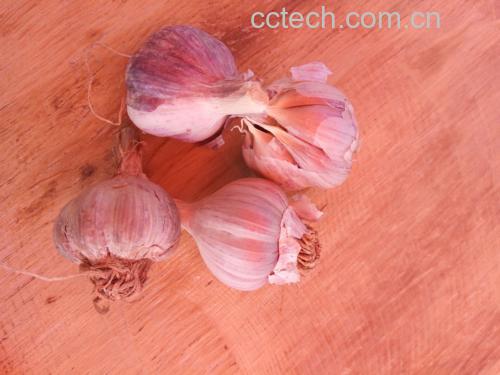 蒜苔与腐竹的搭配展示