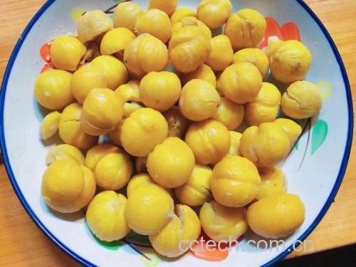 锥栗仁特写