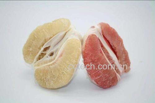 琯溪蜜柚外观对比图