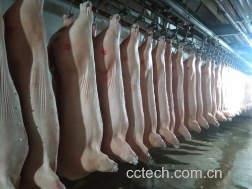 市场监管人员对猪肉进行抽检
