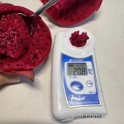 火龙果汁液与果肉结构显微图
