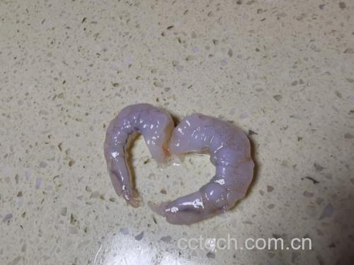 虾仁与洋葱食材图