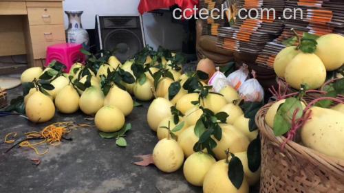 三红蜜柚选购对比场景图