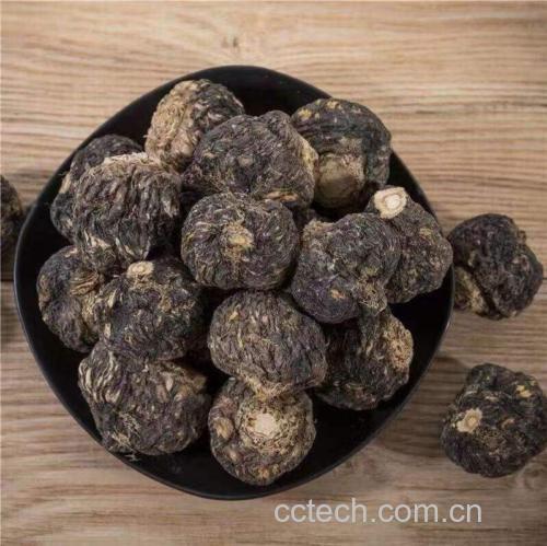 黑玛卡块根与新鲜牡蛎并列展示