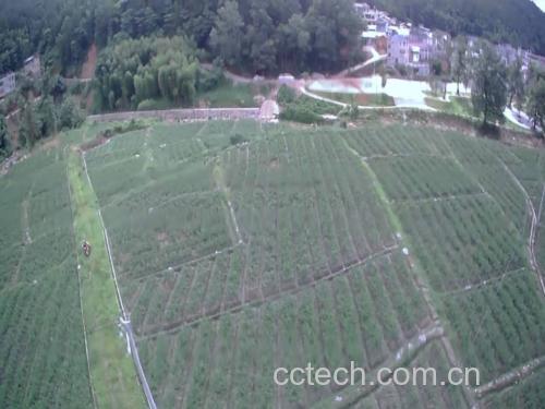 河南焦作怀姜种植基地航拍图