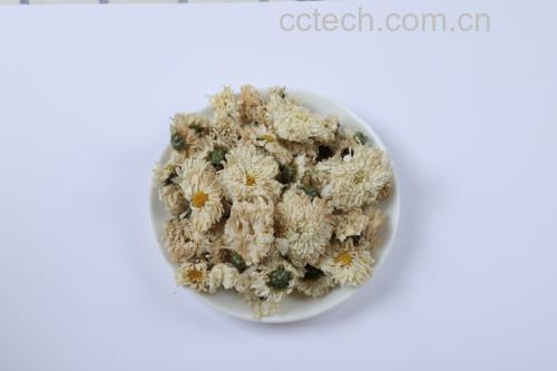 胎菊与贡菊干品对比图