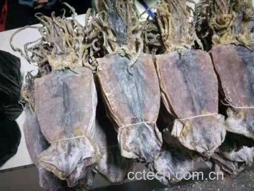 干鱿鱼泡发过程图