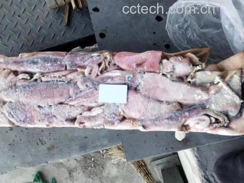 鱿鱼营养成分表