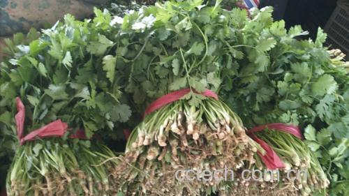 香菜作为调料点缀菜肴