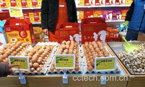 超市货架上不同包装类别鸡蛋并列展示的场景图