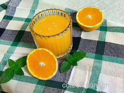 夏橙营养食谱拼盘