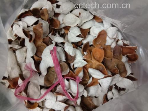 沃柑陈皮的多种使用方式展示图