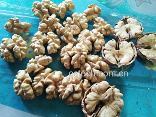 打开的新疆薄皮生核桃特写