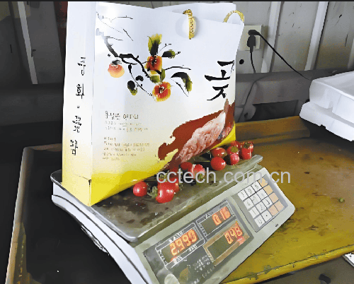 红颜草莓单果重测量对比图